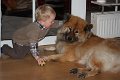 boji und thies (11)